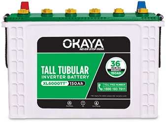 Okaya  - Tall Tubular - OPTT18036